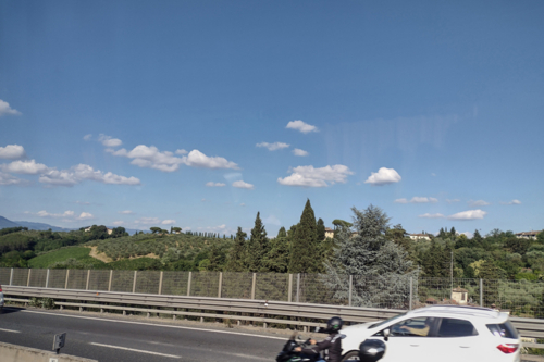 001-FLORENCIA (110)